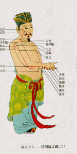 illustrates the location of some Acupuncture points used in treatment