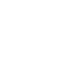 Irish College of Traditional Chinese Medicine white logo