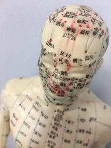 Acupuncture points on a model, which is a learning aid for students.